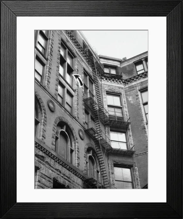 Framed Print : Museum of Natural History Jewel Heist Framed Print : Museum of Natural History Jewel Heist