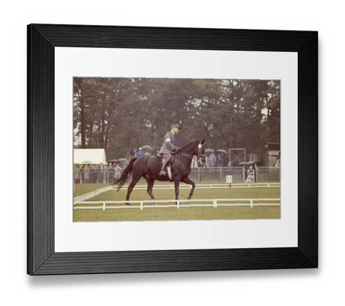 Framed Print : Henri Chaumartin Framed Print : Henri Chaumartin