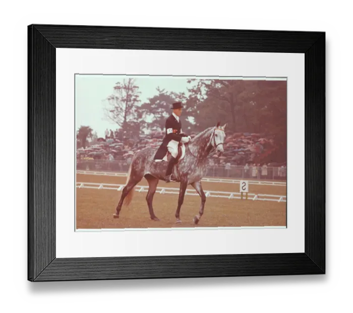 Framed Print : Josef Nickerman Riding Dressage Framed Print : Josef Nickerman Riding Dressage