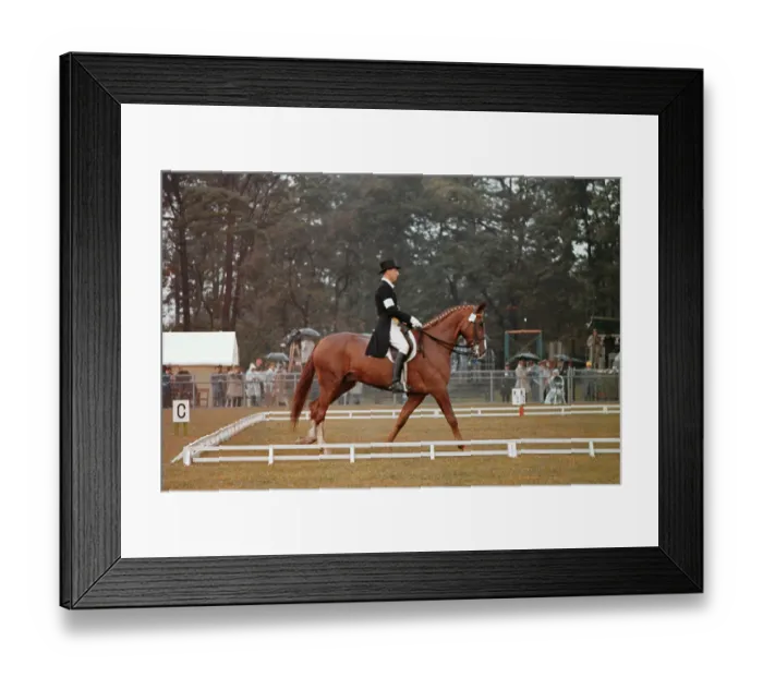 Framed Print : Dressage Finalist Rainer Klimke Framed Print : Dressage Finalist Rainer Klimke