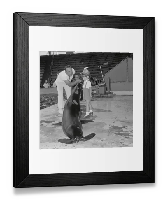 Framed Print : John F. Kennedy Jr. Looking at a Seal Framed Print : John F. Kennedy Jr. Looking at a Seal