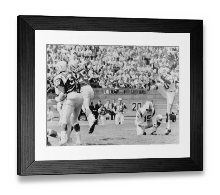 Framed Print : Gino Cappelletti Kicking Record Field Goal Framed Print : Gino Cappelletti Kicking Record Field Goal