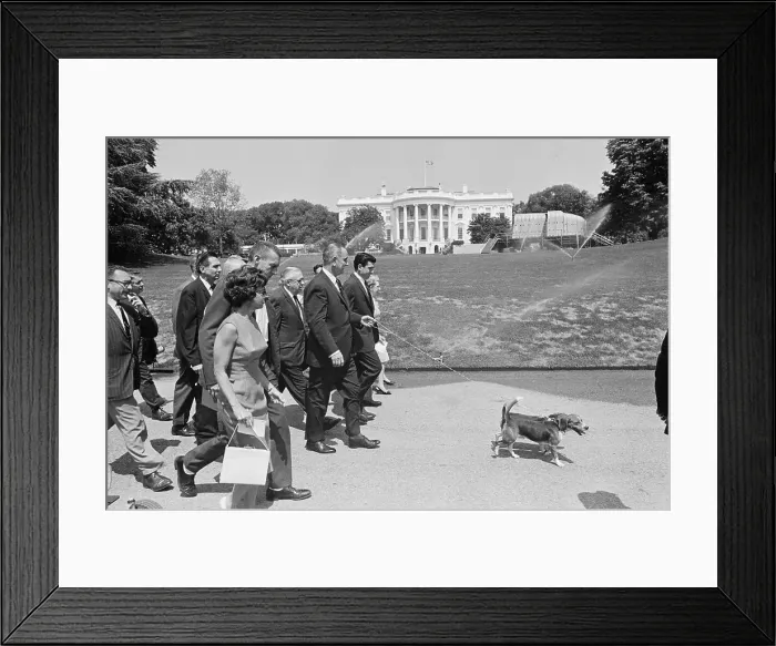 Framed Print : President Johnson Walking with Pet Dogs and Members of the White House Press Corps Framed Print : President Johnson Walking with Pet Dogs and Members of the White House Press Corps