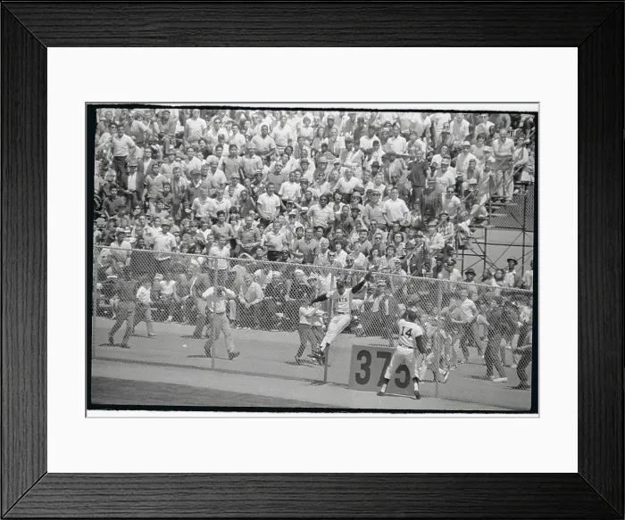 Framed Print : Willie Mays Landing Against The Fence Framed Print : Willie Mays Landing Against The Fence