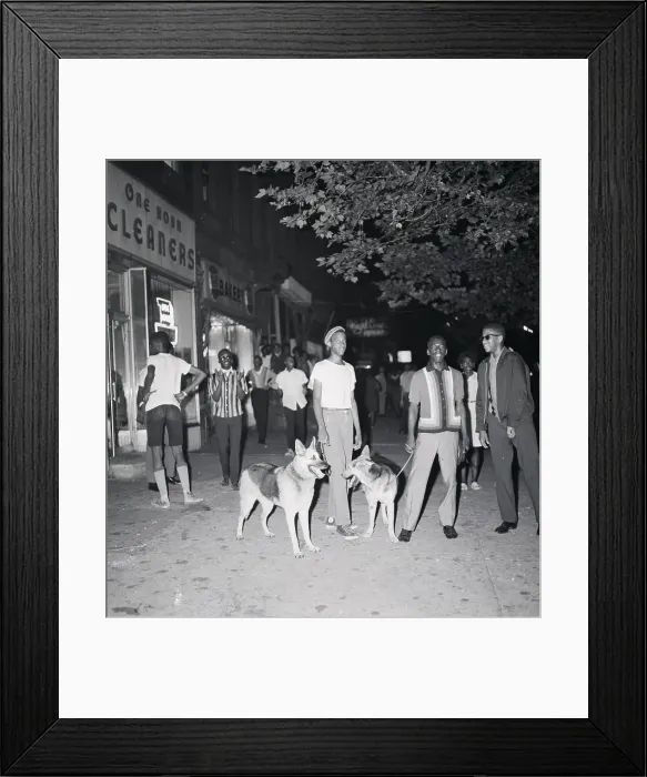 Framed Print : Police with Dogs Patrol Harlem Streets Framed Print : Police with Dogs Patrol Harlem Streets