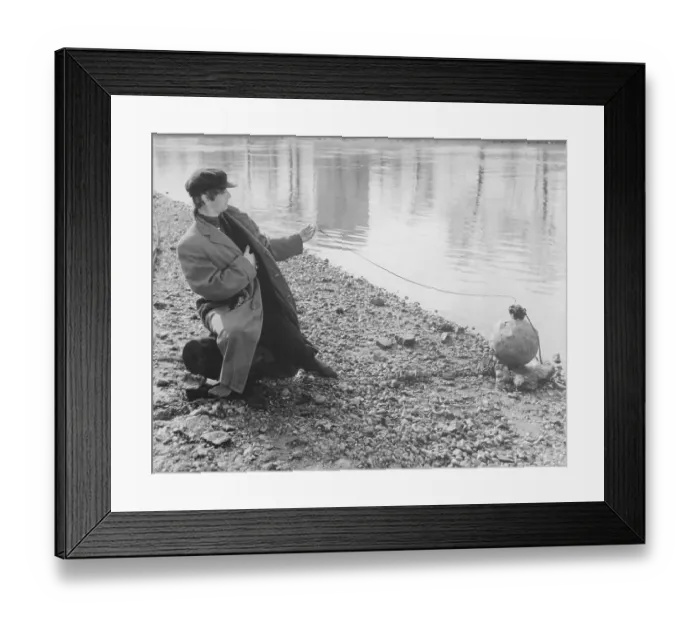 Framed Print : Ringo Starr Taking His Own Picture Framed Print : Ringo Starr Taking His Own Picture