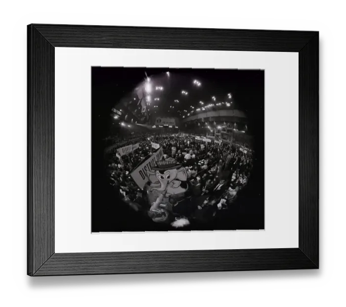 Framed Print : Fisheye Elephant Cartoon @Convention Framed Print : Fisheye Elephant Cartoon @Convention