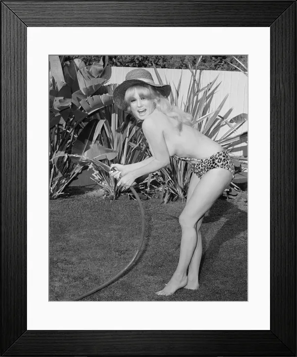 Framed Print : Mamie Van Doren Holding Hose in Garden Framed Print : Mamie Van Doren Holding Hose in Garden