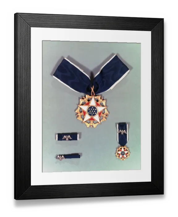 Framed Print : View of Presidential Medal of Freedom Framed Print : View of Presidential Medal of Freedom