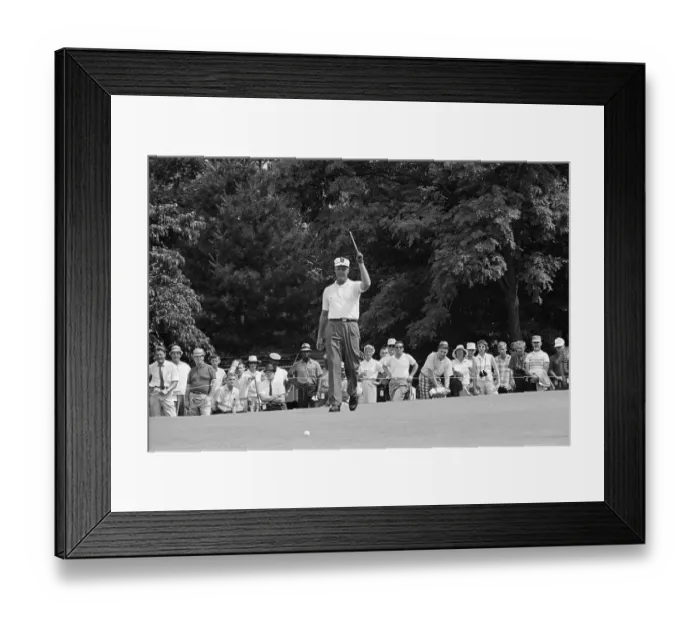 Framed Print : Bill Collins Raising Putter Framed Print : Bill Collins Raising Putter
