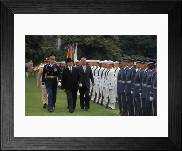 Framed Print : President Johnson Strolling with President Eamon de Valera, of Ireland