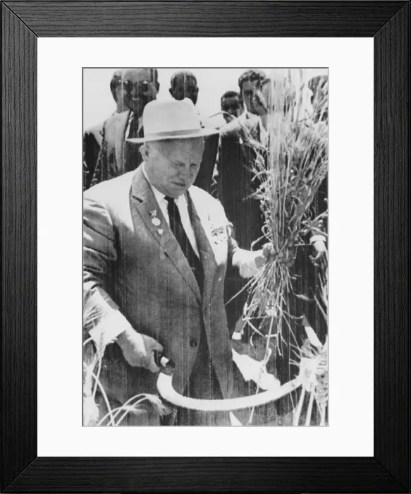 Framed Print : Nikita Khrushchev Sickling Wheat in Egypt Framed Print : Nikita Khrushchev Sickling Wheat in Egypt
