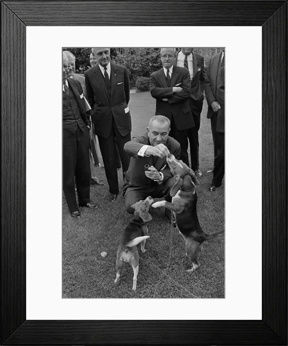 Framed Print : President Johnson Feeding his Beagles Framed Print : President Johnson Feeding his Beagles