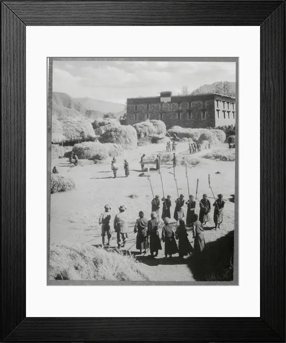 Framed Print : Tibetans Reaping Record Breaking Harvest Framed Print : Tibetans Reaping Record Breaking Harvest