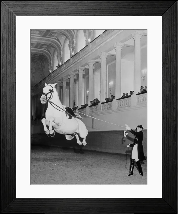 Framed Print : Alois Podhajsky and his Lipizzaner Stallions Framed Print : Alois Podhajsky and his Lipizzaner Stallions
