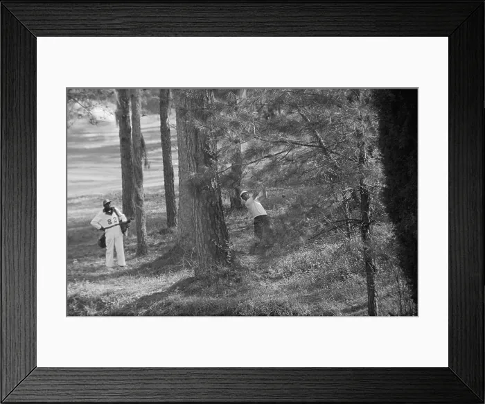 Framed Print : Arnold Palmer Hitting Ball from Rough