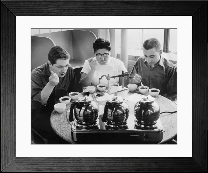 Framed Print : Coffee Tasters Working at Tasting Coffee Framed Print : Coffee Tasters Working at Tasting Coffee