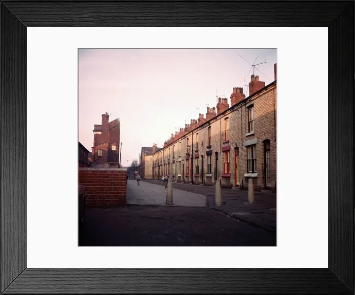 Framed Print : Admiral Grove Framed Print : Admiral Grove