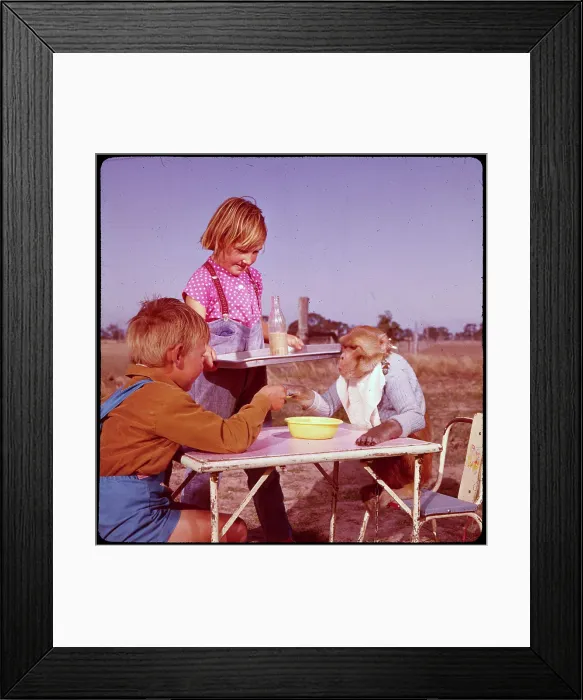 Framed Print : Children and Monkey Eating Lunch Framed Print : Children and Monkey Eating Lunch