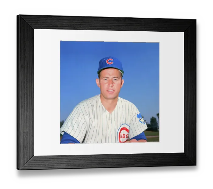 Framed Print : Portrait of Ron Santo Framed Print : Portrait of Ron Santo