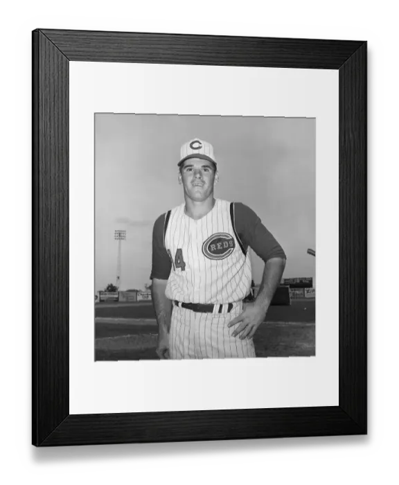 Framed Print : Pete Rose Poses In Uniform On Field Framed Print : Pete Rose Poses In Uniform On Field