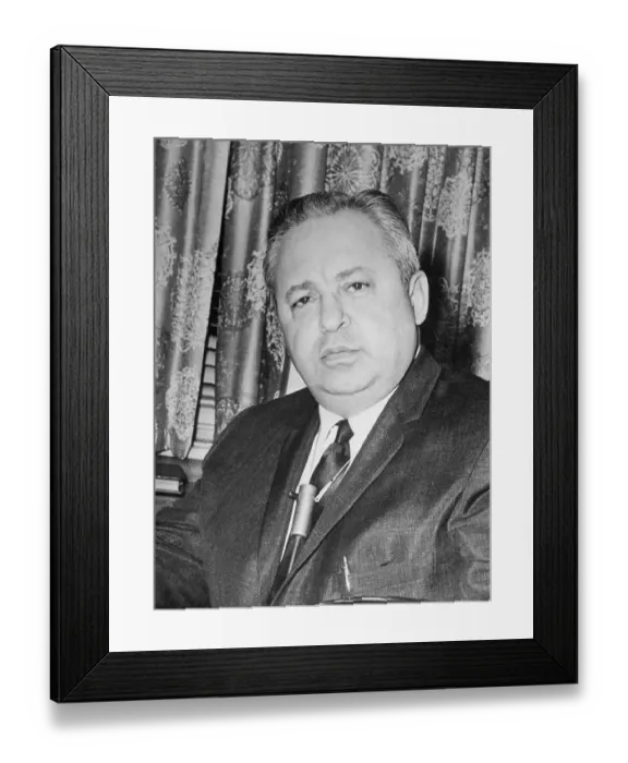 Framed Print : Tino De Angelis