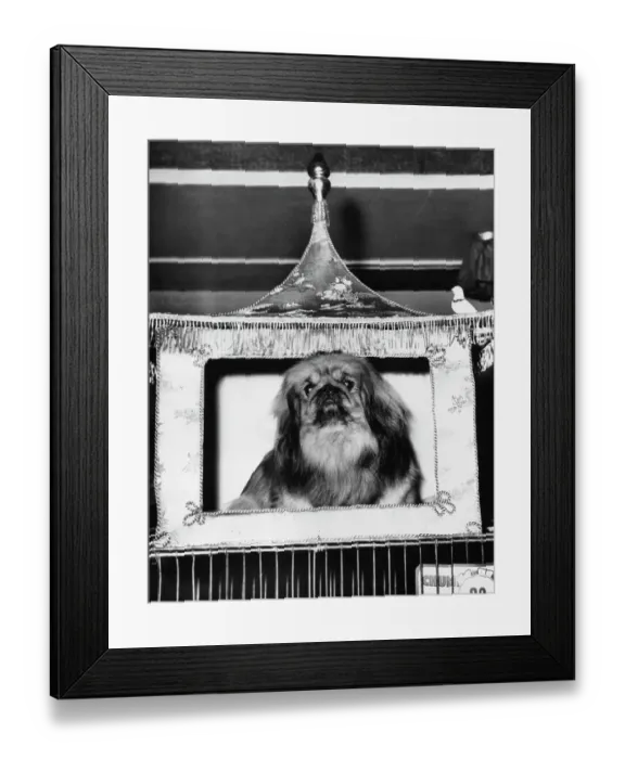 Framed Print : Regal Setting Framed Print : Regal Setting
