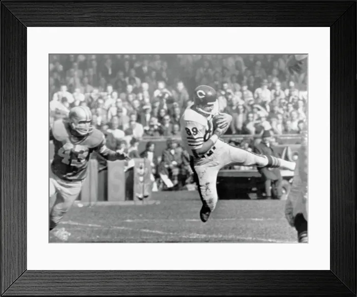 Framed Print : Mike Ditka Running with Ball Framed Print : Mike Ditka Running with Ball
