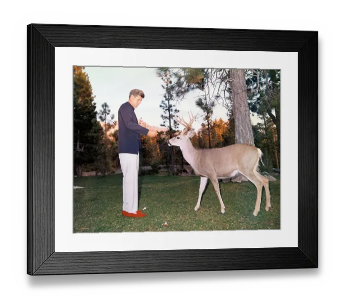 Framed Print : John F Kennedy Encountering Deer Framed Print : John F Kennedy Encountering Deer