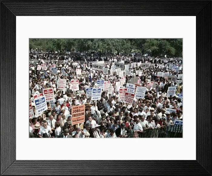 Framed Print : The March on Washington Framed Print : The March on Washington