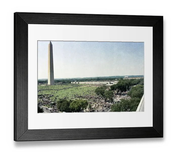Framed Print : The March on Washington Framed Print : The March on Washington