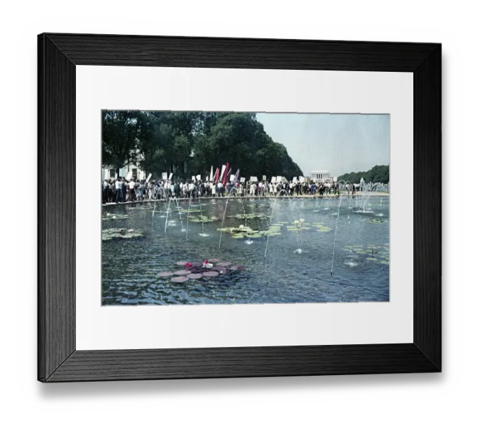 Framed Print : The March on Washington Framed Print : The March on Washington