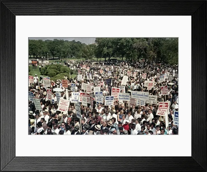 Framed Print : The March on Washington Framed Print : The March on Washington