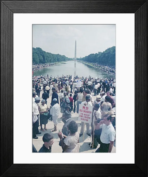 Framed Print : Crowd of Protesters at Washington Monument Framed Print : Crowd of Protesters at Washington Monument