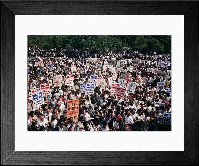 Framed Print : Freedom March Participants Gathered at the Mall Framed Print : Freedom March Participants Gathered at the Mall