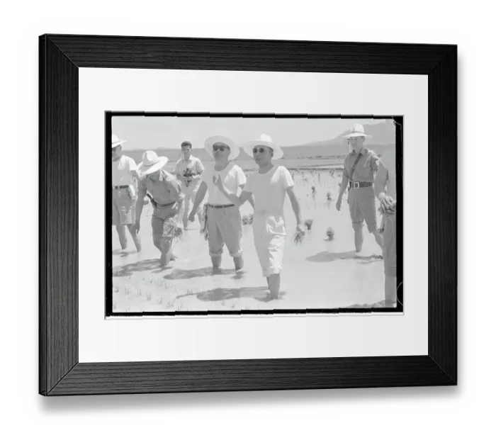Framed Print : Park Chung Lee Farming for a Day Framed Print : Park Chung Lee Farming for a Day