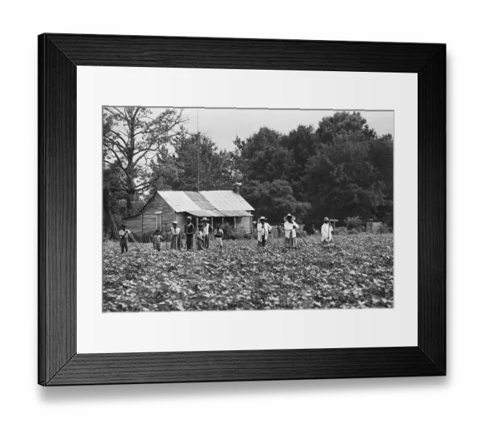 Framed Print : Tenant Farmer Family Standing in Field Framed Print : Tenant Farmer Family Standing in Field