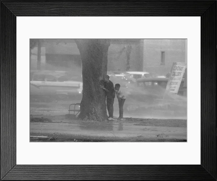 Framed Print : Children Hiding Behind Tree During Protest Framed Print : Children Hiding Behind Tree During Protest