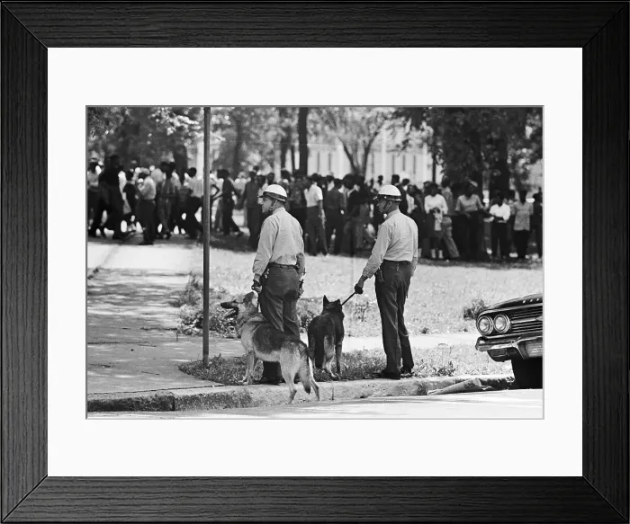 Framed Print : Police and Dogs Near Demonstrators Framed Print : Police and Dogs Near Demonstrators