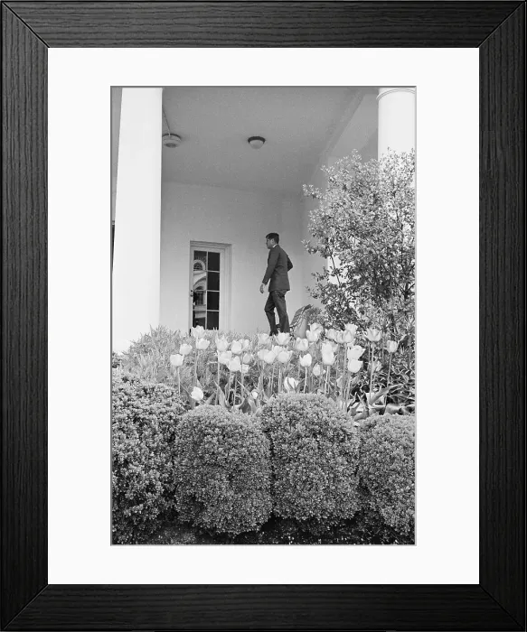 Framed Print : John Kennedy Returning to the White House Framed Print : John Kennedy Returning to the White House