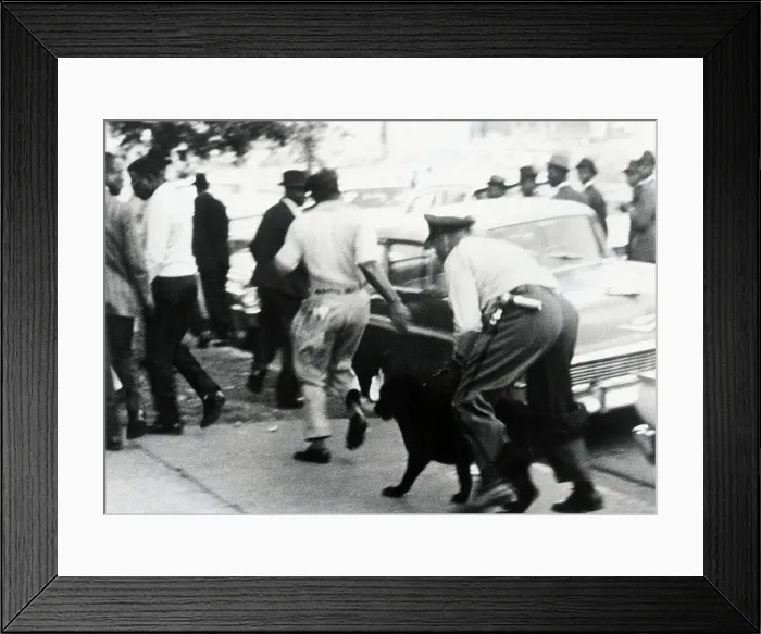 Framed Print : Police Officer with Dog Disperses Segregation Protesters Framed Print : Police Officer with Dog Disperses Segregation Protesters