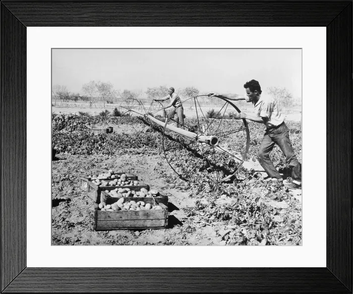 Framed Print : Israelis Irrigating Land