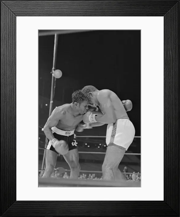 Framed Print : Boxing Favorites in Action Framed Print : Boxing Favorites in Action