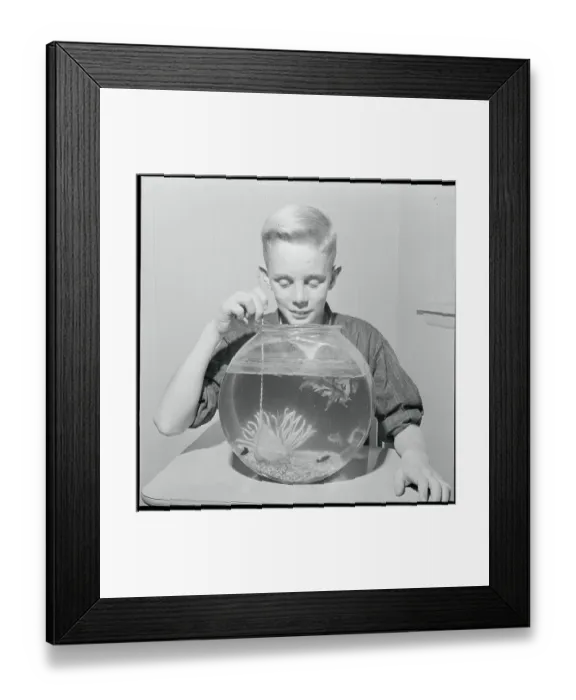 Framed Print : Boy Fishing in Bowl with Net Framed Print : Boy Fishing in Bowl with Net