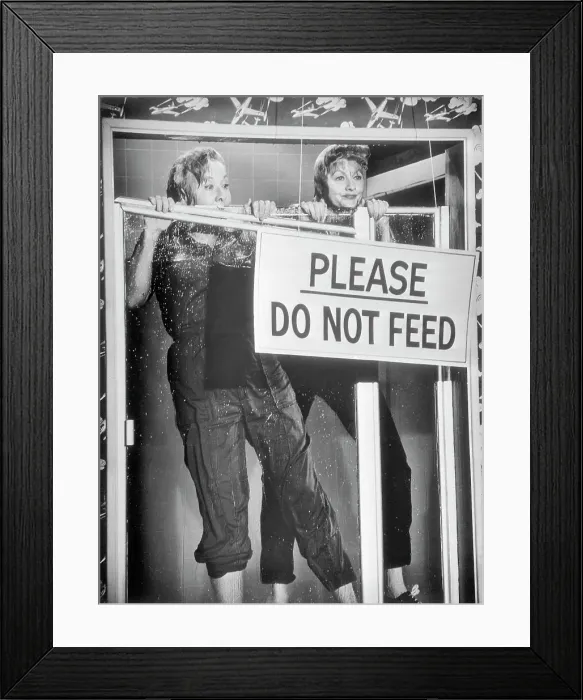 Framed Print : Portrait of Lucille Ball and Vivian Vance Framed Print : Portrait of Lucille Ball and Vivian Vance