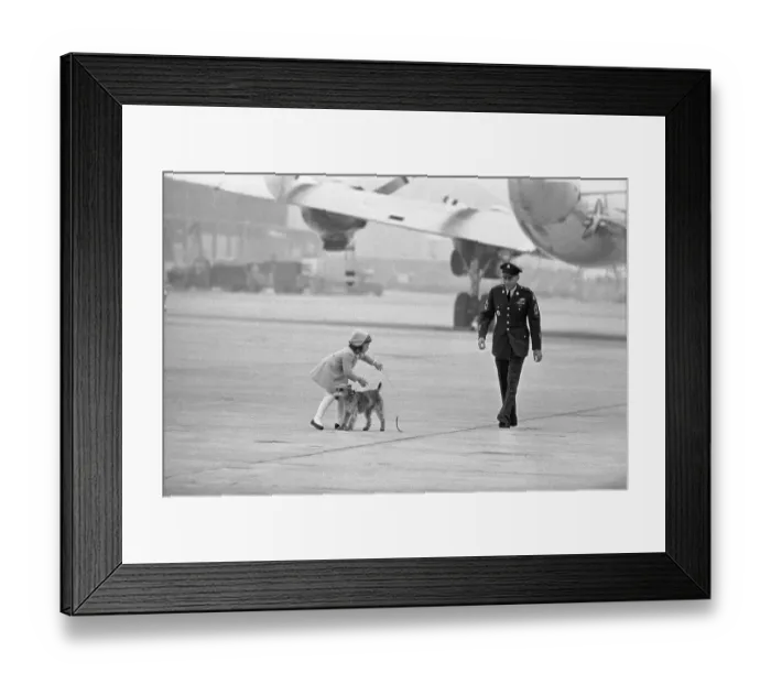 Framed Print : Young Caroline Kennedy Trying to Hold Dog on Runway with John F. Kennedy Nearby Framed Print : Young Caroline Kennedy Trying to Hold Dog on Runway with John F. Kennedy Nearby