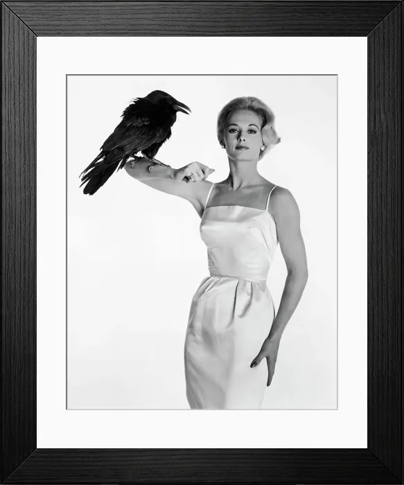 Framed Print : Actress Tippi Hedren Posing with a Raven Framed Print : Actress Tippi Hedren Posing with a Raven