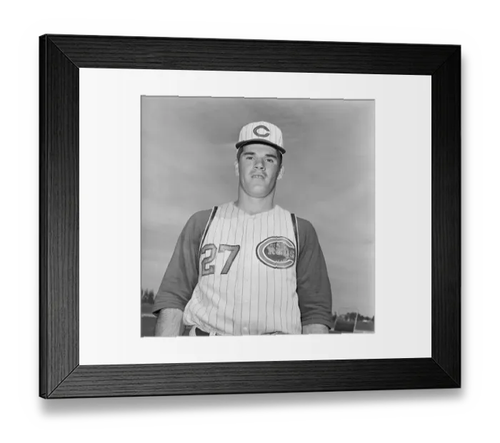 Framed Print : Pete Rose-Cincinnati Reds Framed Print : Pete Rose-Cincinnati Reds