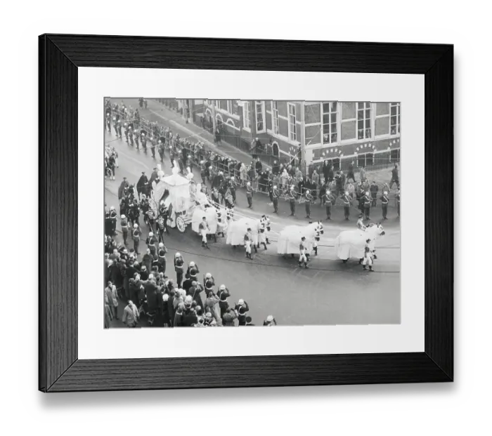 Framed Print : Horses Pulling Carriage with Queen Wilhelmina's Casket Framed Print : Horses Pulling Carriage with Queen Wilhelmina's Casket