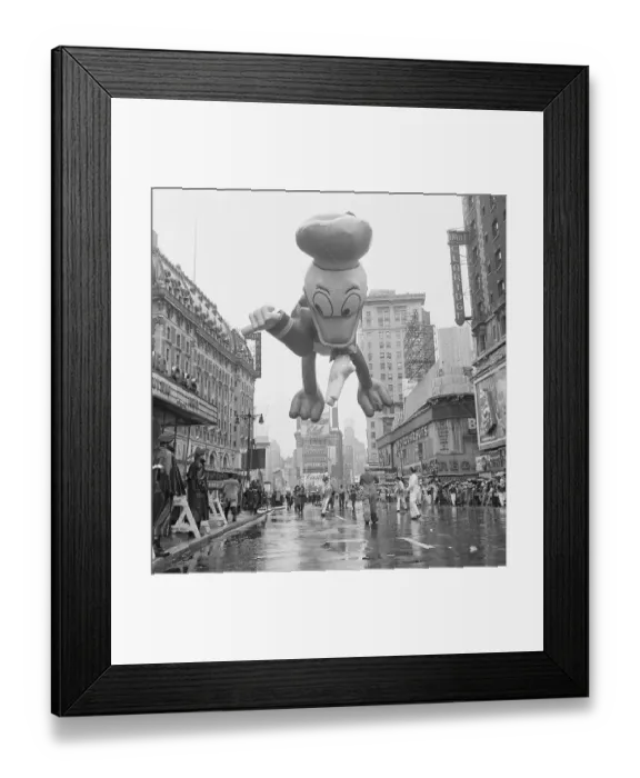 Framed Print : Donald Duck Balloon on Macy's Thanksgiving Day Parade Framed Print : Donald Duck Balloon on Macy's Thanksgiving Day Parade